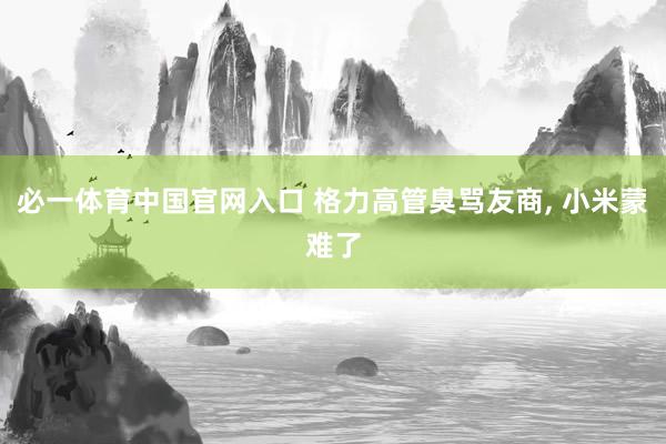 必一体育中国官网入口 格力高管臭骂友商, 小米蒙难了