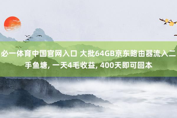 必一体育中国官网入口 大批64GB京东路由器流入二手鱼塘, 一天4毛收益, 400天即可回本